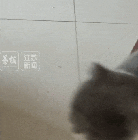 3.gif
