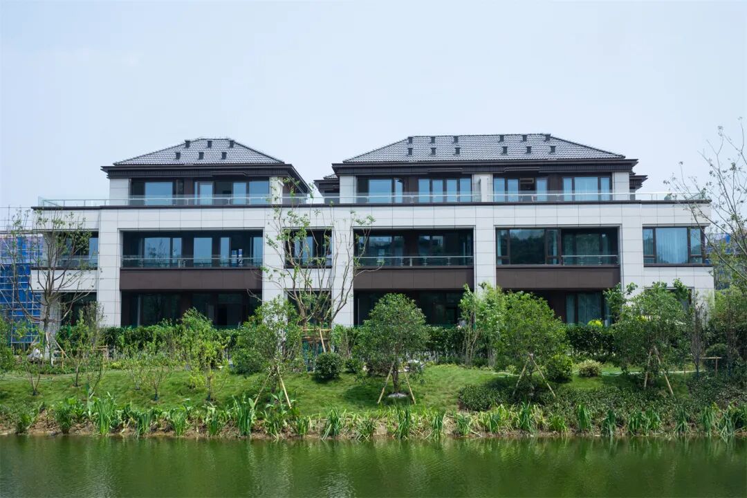 0J1A8920.jpg