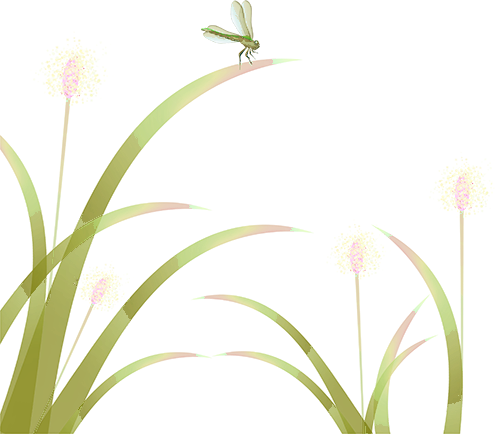 ͼƬ