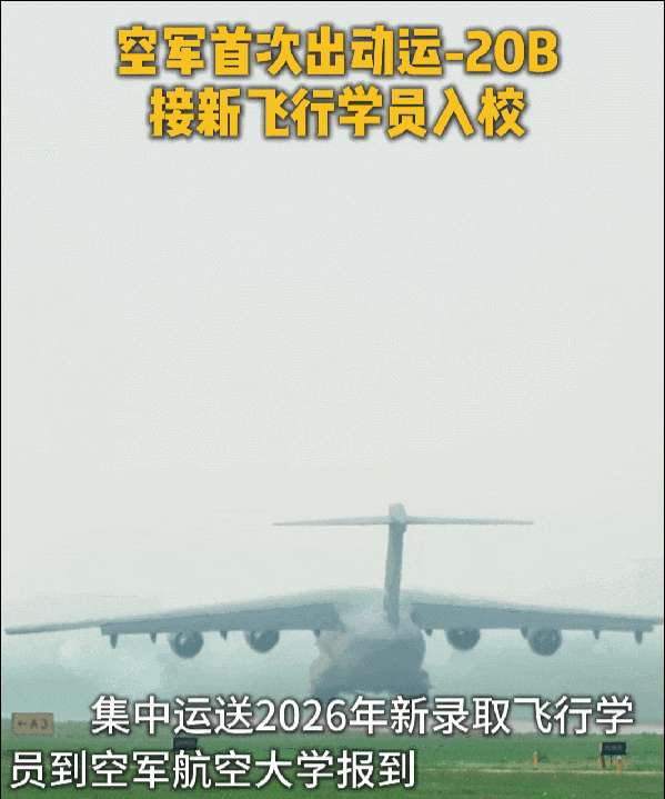 GIF1.gif