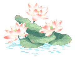 ͼƬ