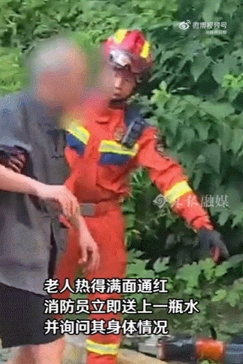 GIF.gif