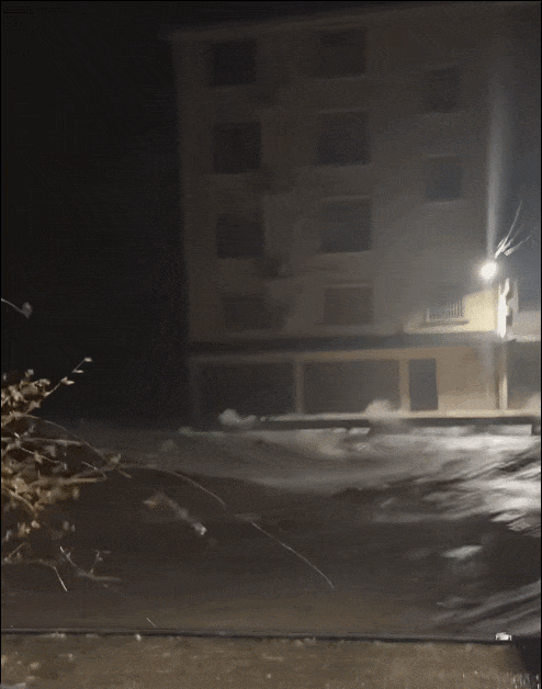 3.gif