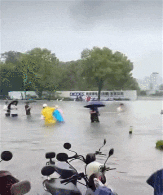 4.gif