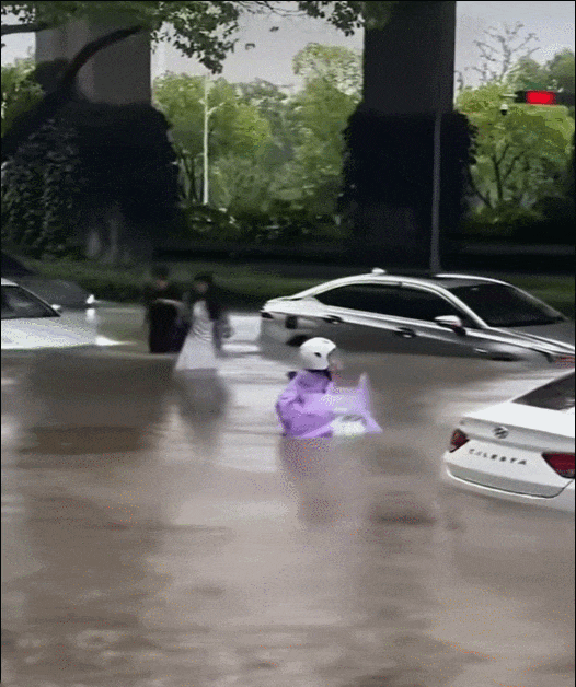 6.gif