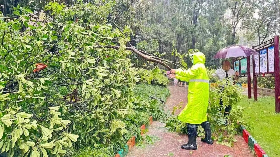 ͼƬ