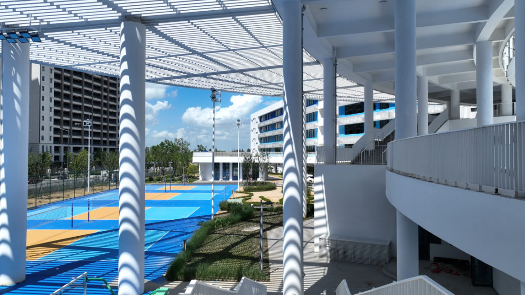 ���ָ���20260521(47).png