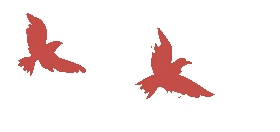 ͼƬ
