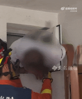 1.gif