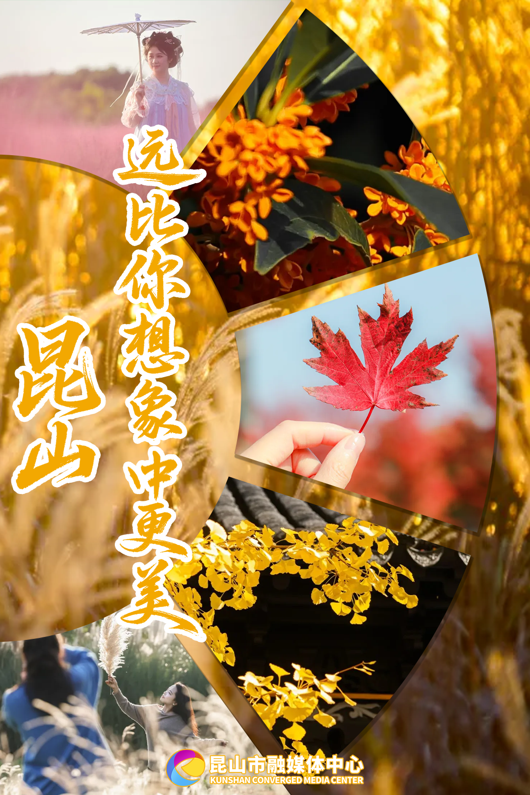 ͼƬ