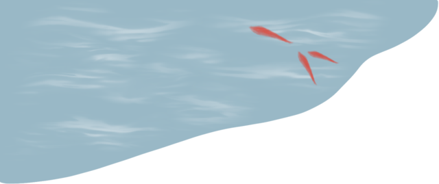 ͼƬ