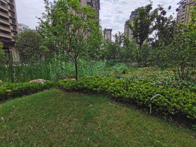 IMG_20210708_091750.jpg