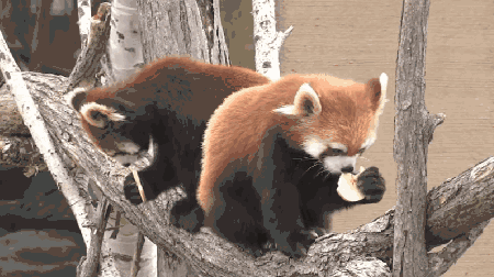 640 (2).gif
