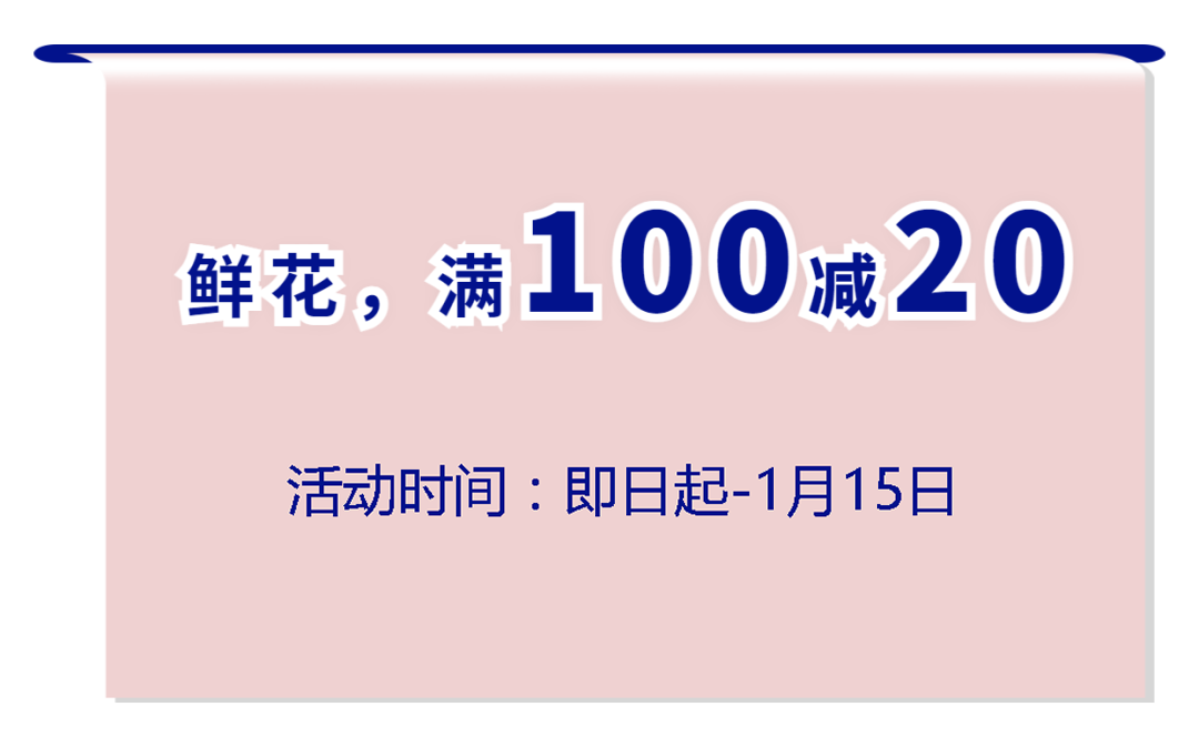 1010.png