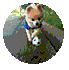 ͼƬ