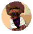 ͼƬ
