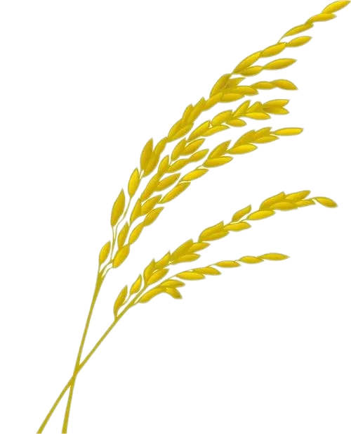 u=2184235920,1470755338&fm=253&fmt=auto&app=138&f=JPEG.webp(1).png