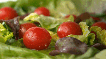 77d49cdbee651c62b8b10b10563c3911.gif