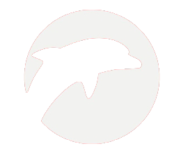 123.png