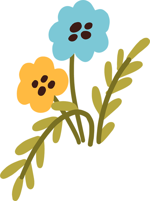 ͼƬ