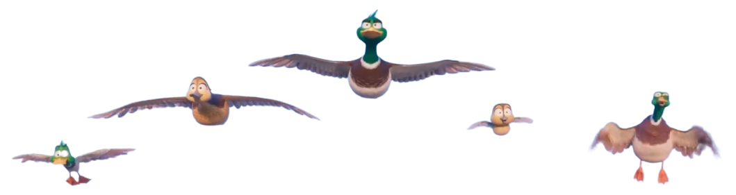 ͼƬ