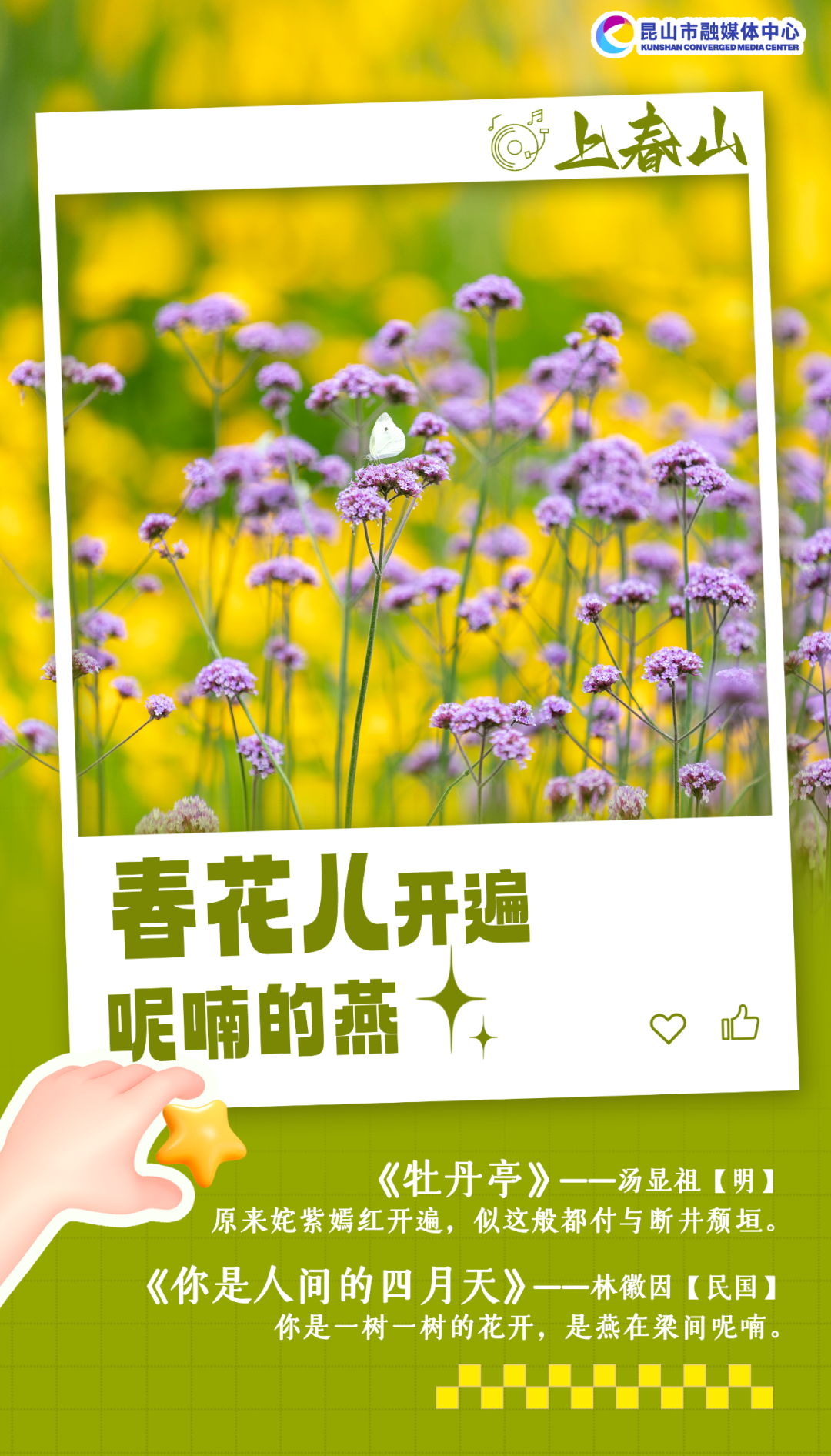 ͼƬ