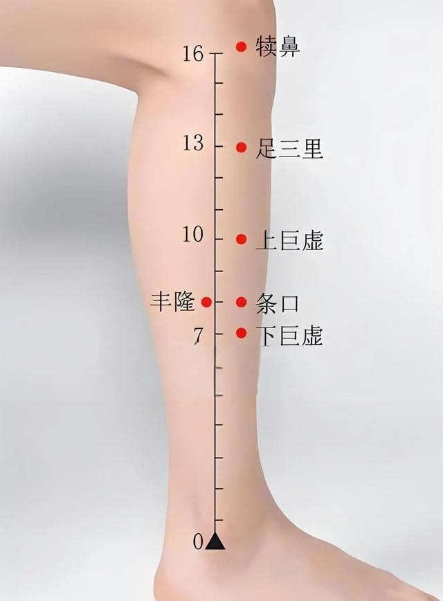 ͼƬ