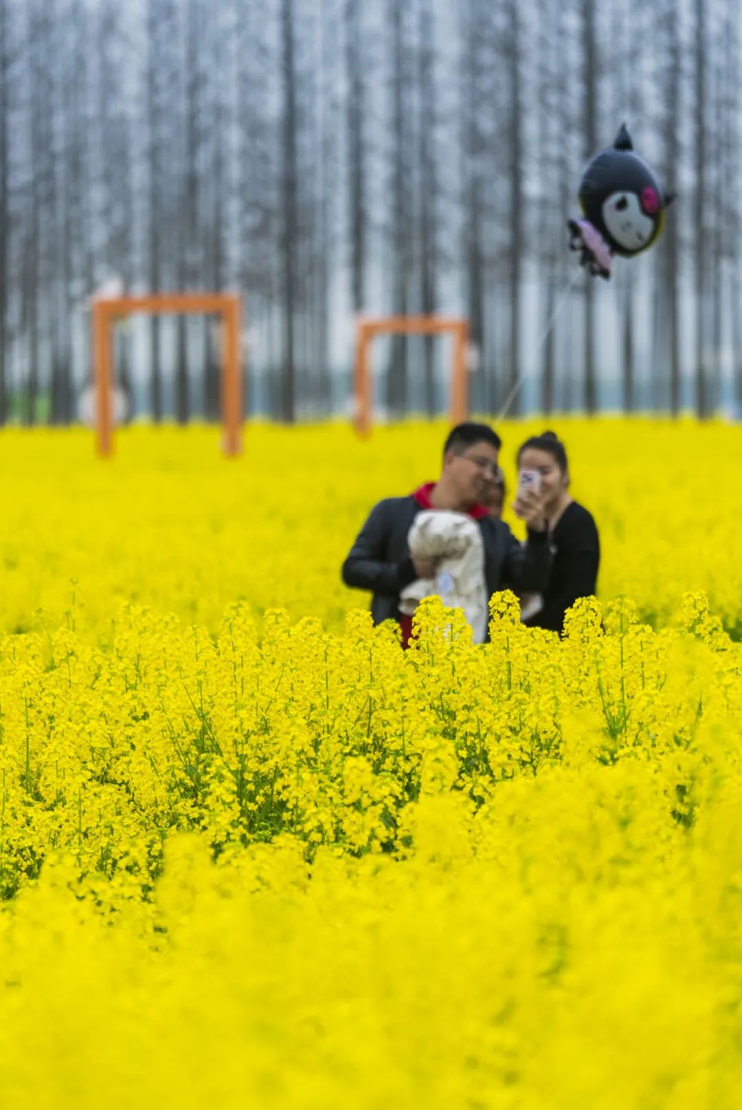 ͼƬ