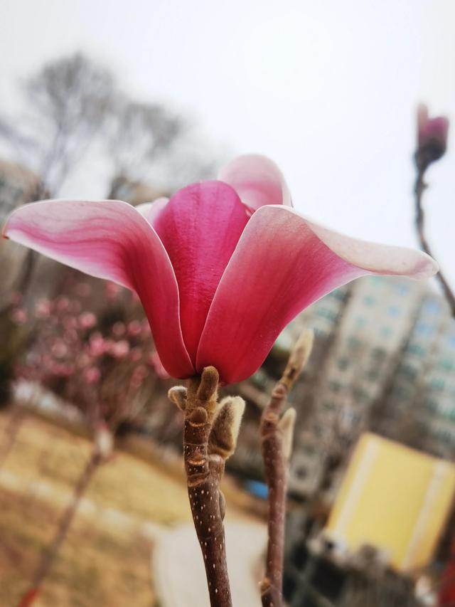 2e3f735390f94aabad7d215bbd65bf6b~tplv-obj_3072_4096.webp.jpg