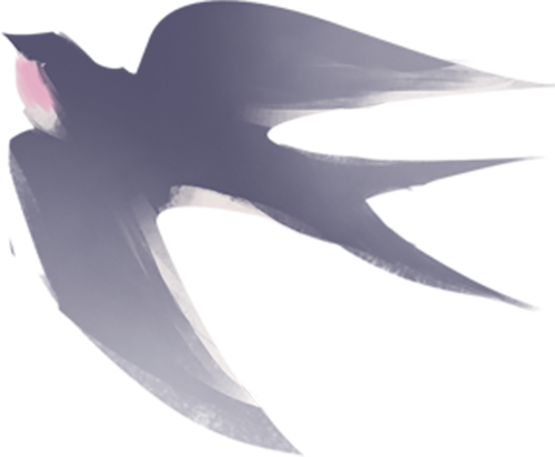 ͼƬ