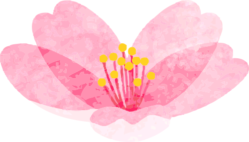 ͼƬ