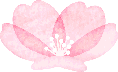 ͼƬ
