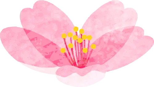 ͼƬ