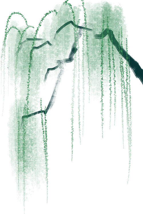 ͼƬ
