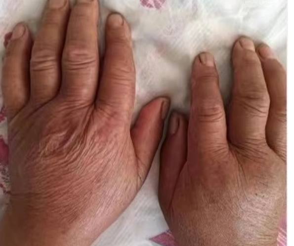ͼƬ