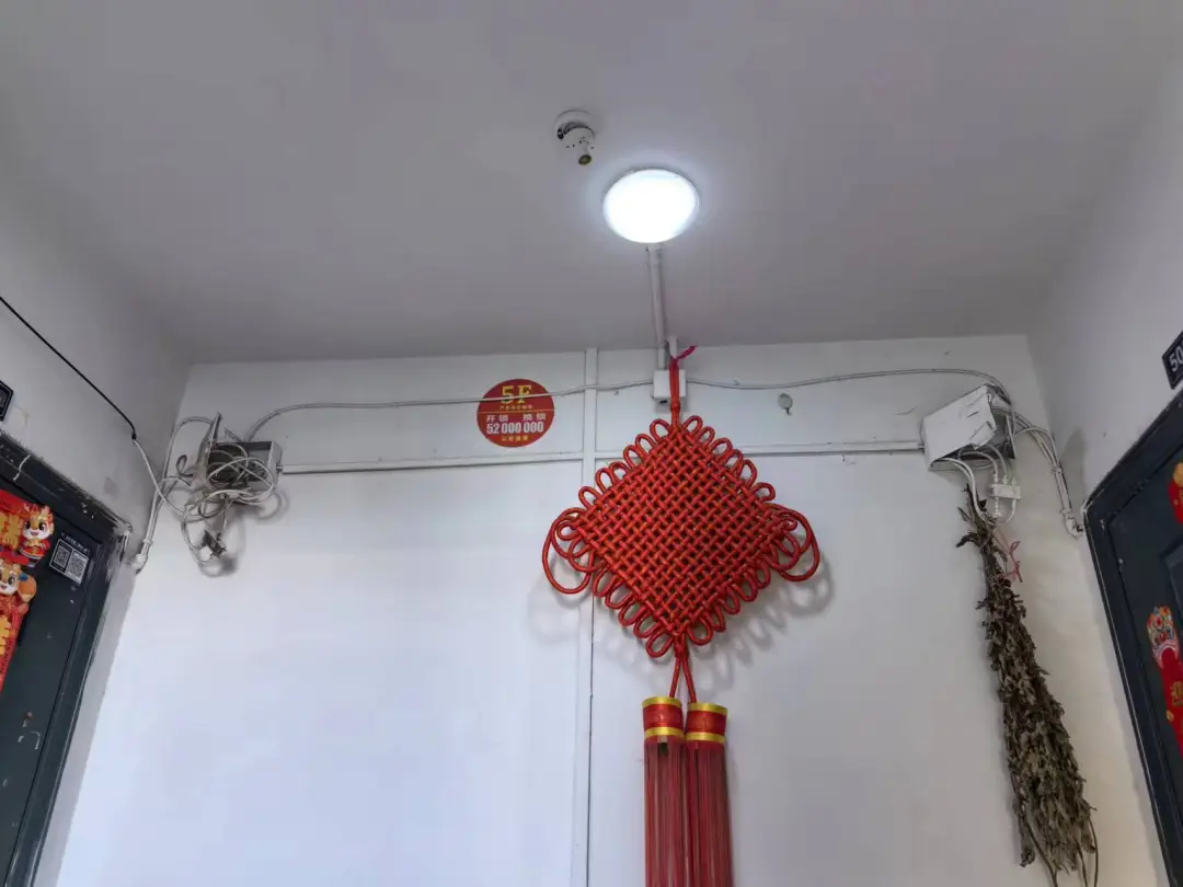 ͼƬ