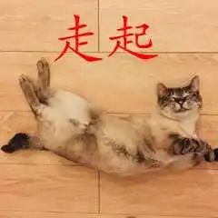 ͼƬ
