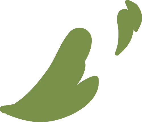 ͼƬ