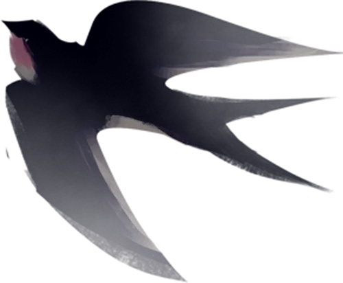 ͼƬ