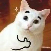 ͼƬ