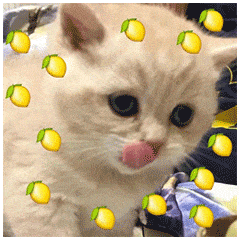 ͼƬ
