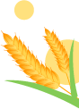 ͼƬ