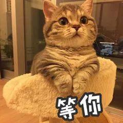 ͼƬ