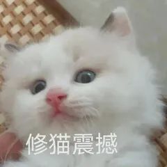 0A5D9448.jpg