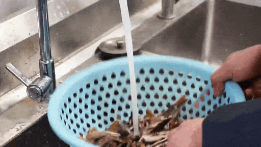 δ (1).gif