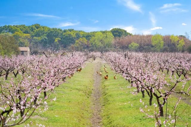 ΢ͼƬ_20250324121606 - .jpg