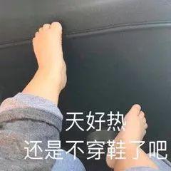 05781822.jpg