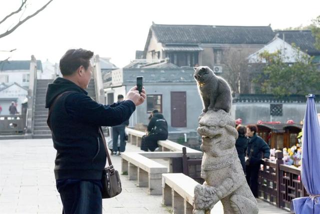 2025-03-06 145518_副本.jpg 2025-03-06 145518_副本.jpg