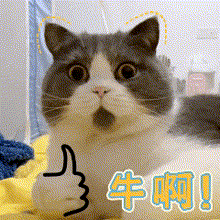 06326E77.gif