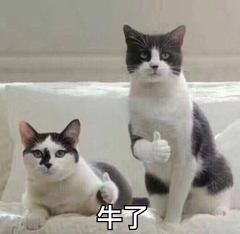 1A562C66.png